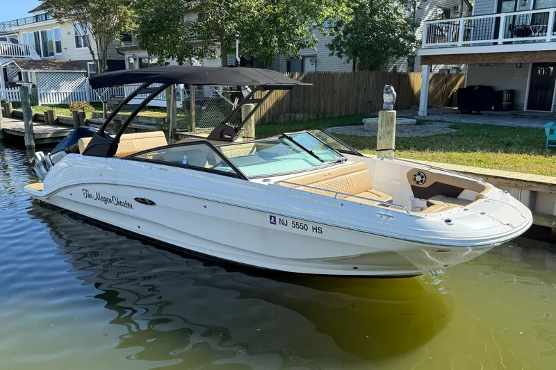 The Image of Sea Ray 250 SDX OB 2024 - 0