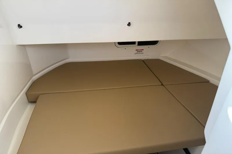 Slide: The Image of Sea Ray 250 SDX OB 2024 - 15