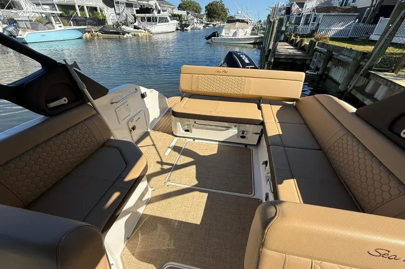 Slide: The Image of Sea Ray 250 SDX OB 2024 - 6