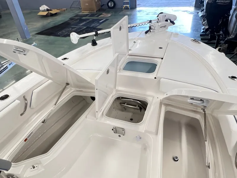 Slide: The Image of Robalo ROBALO 246 2026 - 11