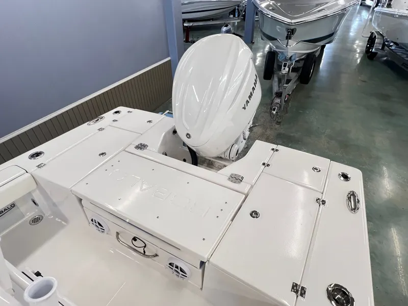 Slide: The Image of Robalo ROBALO 246 2026 - 19