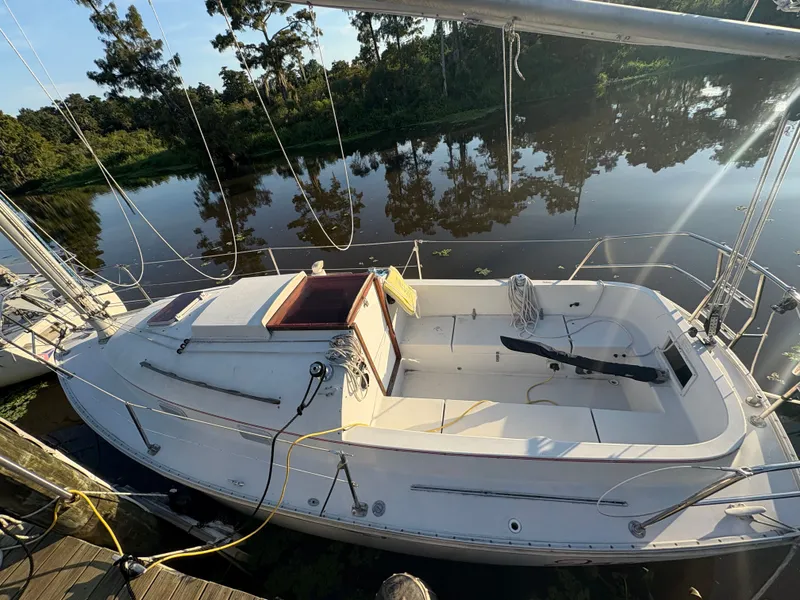 Slide: The Image of Nonsuch Nonsuch 22 1987 - 1