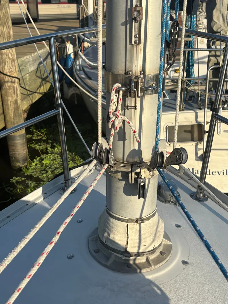 Slide: The Image of Nonsuch Nonsuch 22 1987 - 10