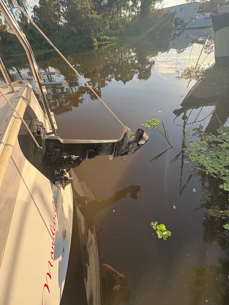 Slide: The Image of Nonsuch Nonsuch 22 1987 - 13