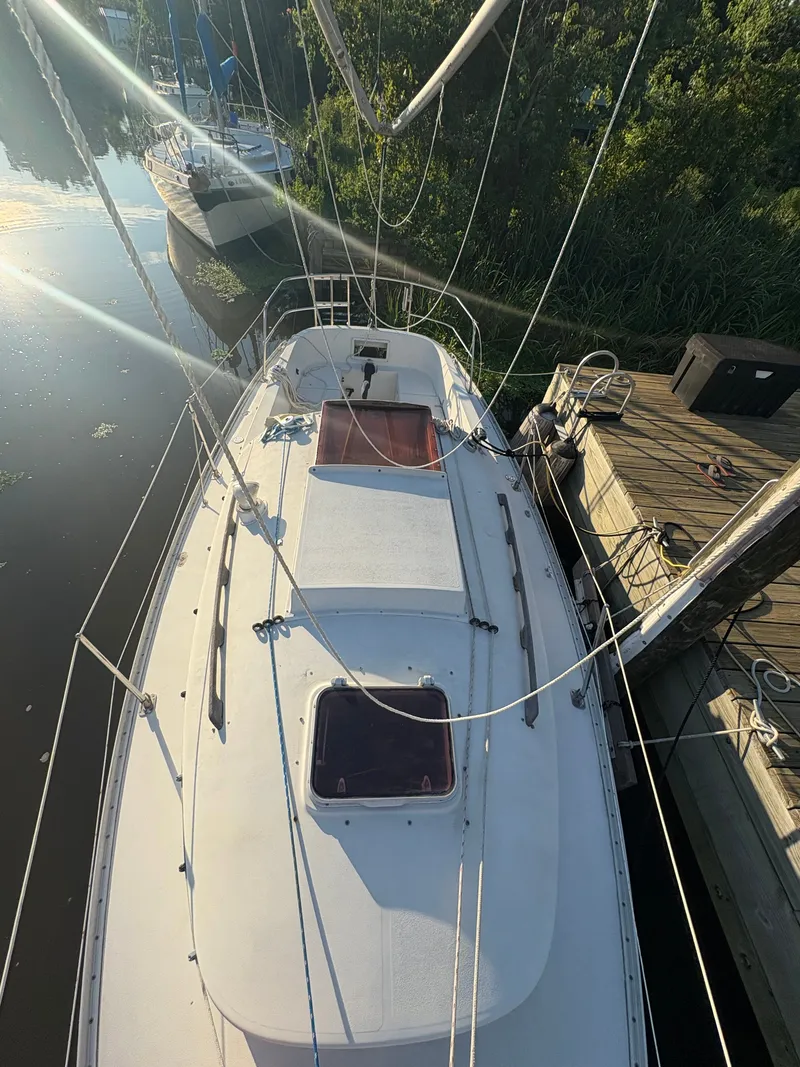 Slide: The Image of Nonsuch Nonsuch 22 1987 - 2