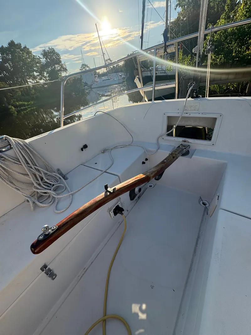 Slide: The Image of Nonsuch Nonsuch 22 1987 - 3