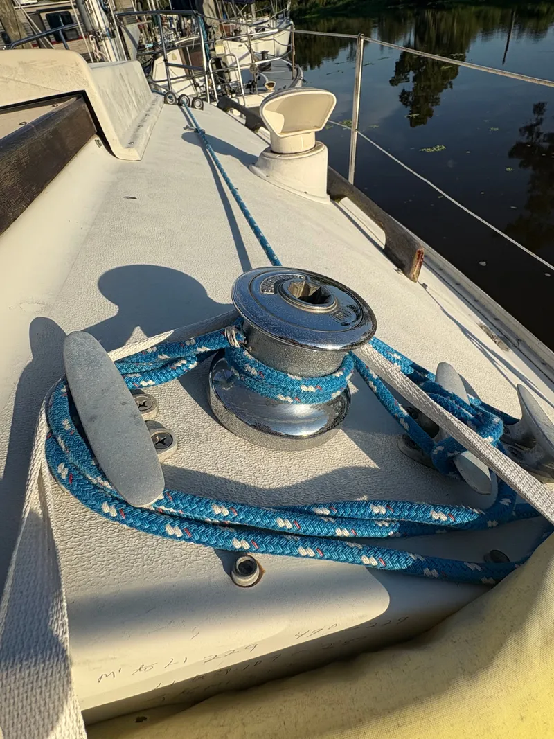 Slide: The Image of Nonsuch Nonsuch 22 1987 - 8