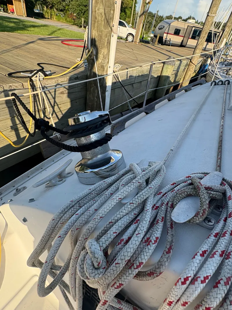 Slide: The Image of Nonsuch Nonsuch 22 1987 - 9