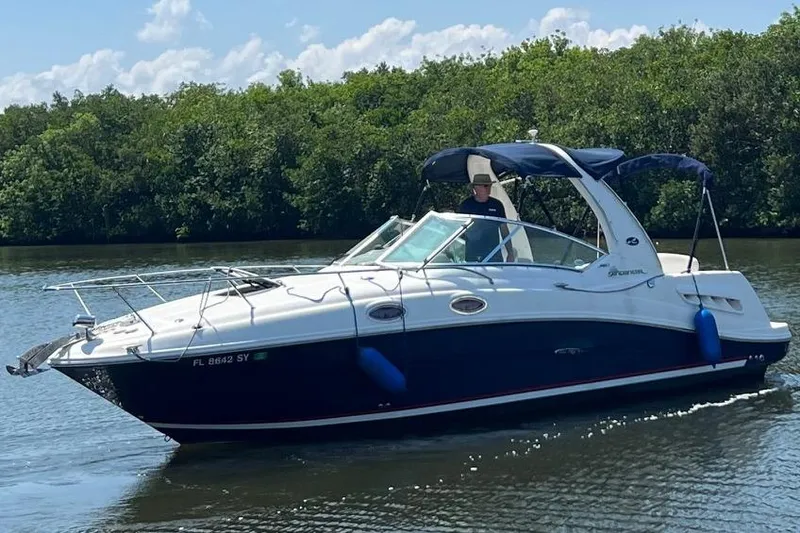 The Image of 2005 Sea Ray 260 Sundancer boat cruising on a calm river with lush greenery. - 0