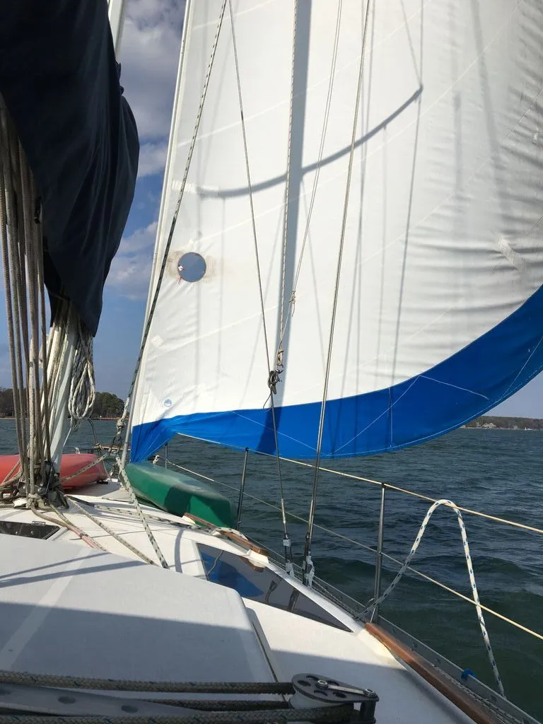 Slide: The Image of Hunter Legend 35.5 1991 - 4