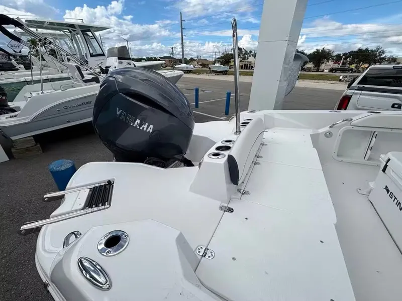 Slide: The Image of Stingray 216 CC 2026 - 10