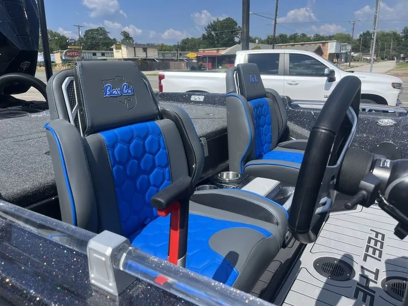 Slide: The Image of Bass Cat Eyra SP 2026 - 11