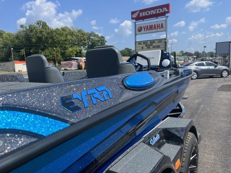 Slide: The Image of Bass Cat Eyra SP 2026 - 14