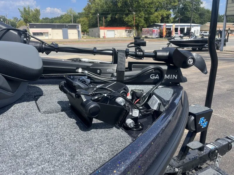 Slide: The Image of Bass Cat Eyra SP 2026 - 18