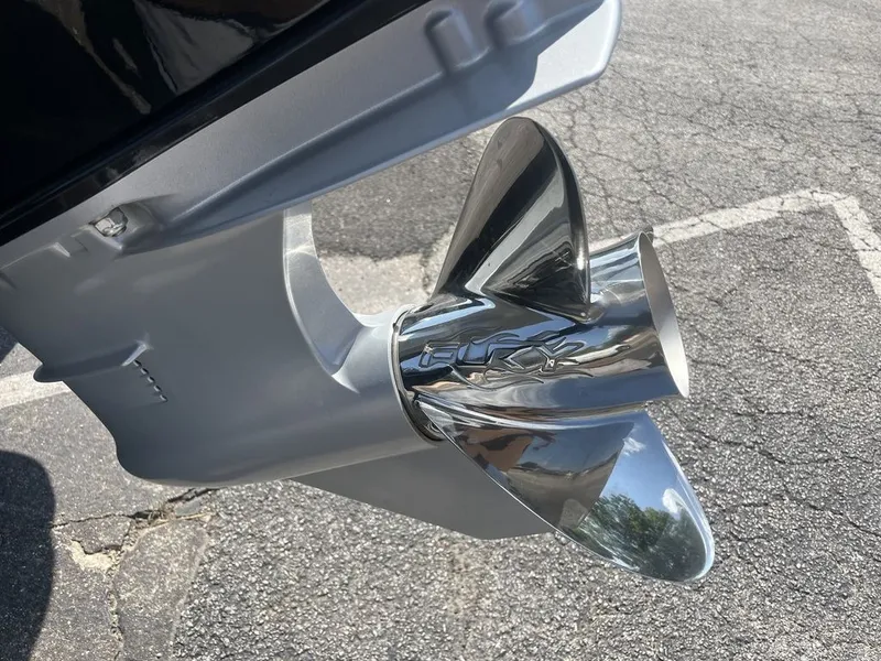 Slide: The Image of Bass Cat Eyra SP 2026 - 21