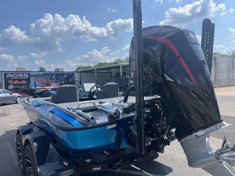 Slide: The Image of Bass Cat Eyra SP 2026 - 27