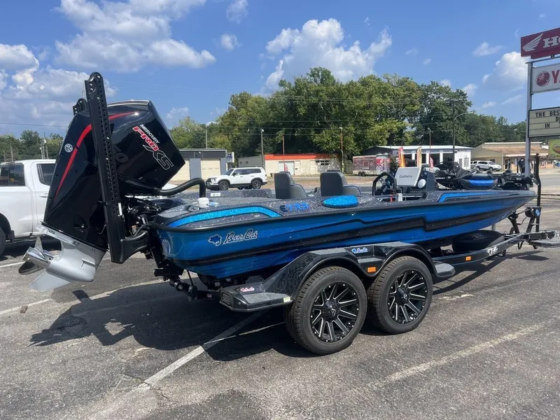 Slide: The Image of Bass Cat Eyra SP 2026 - 3