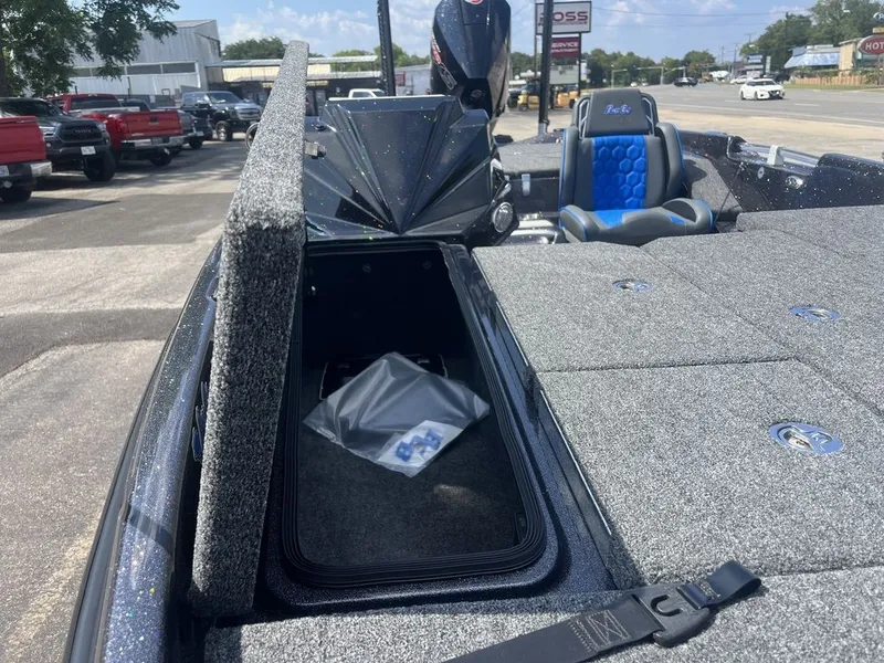 Slide: The Image of Bass Cat Eyra SP 2026 - 30