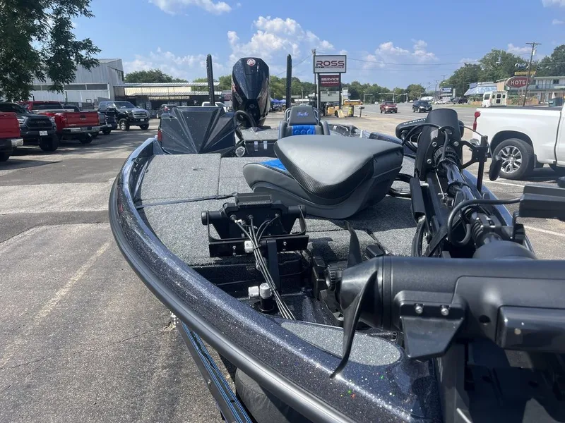 Slide: The Image of Bass Cat Eyra SP 2026 - 31