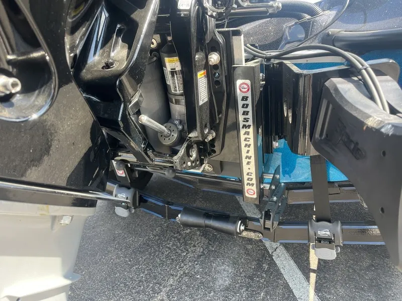 Slide: The Image of Bass Cat Eyra SP 2026 - 6