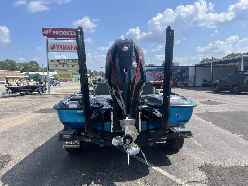 Slide: The Image of Bass Cat Eyra SP 2026 - 7