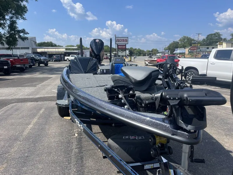 Slide: The Image of Bass Cat Eyra SP 2026 - 8