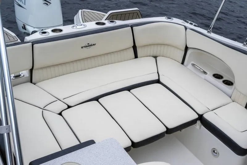 Slide: The Image of Stingray 231 DC 2025 - 17