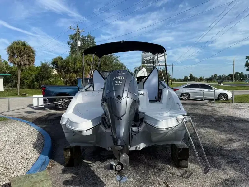 Slide: The Image of Stingray 231 DC 2025 - 3