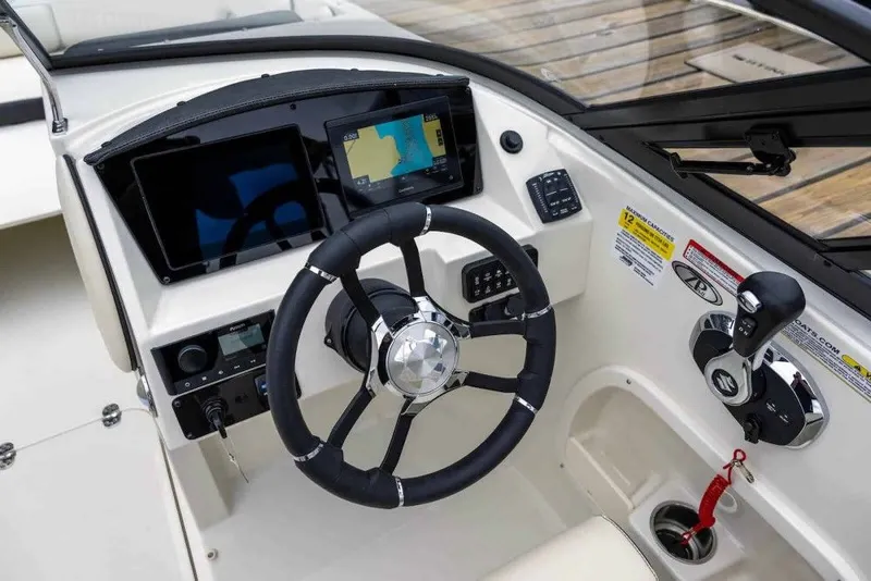 Slide: The Image of Stingray 231 DC 2025 - 5