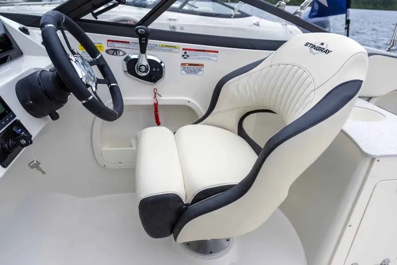 Slide: The Image of Stingray 231 DC 2025 - 6