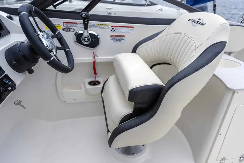 Slide: The Image of Stingray 231 DC 2025 - 7