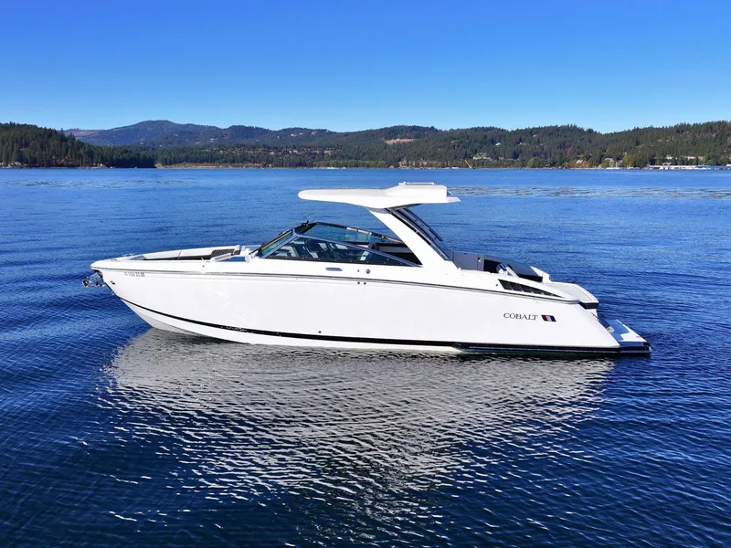 Slide: The Image of Cobalt R33 2024 - 2