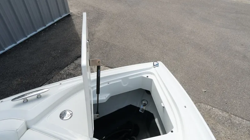 Slide: The Image of Cobalt 272 2005 - 21