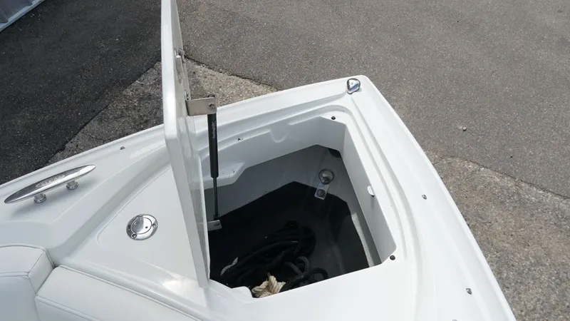 Slide: The Image of Cobalt 272 2005 - 22