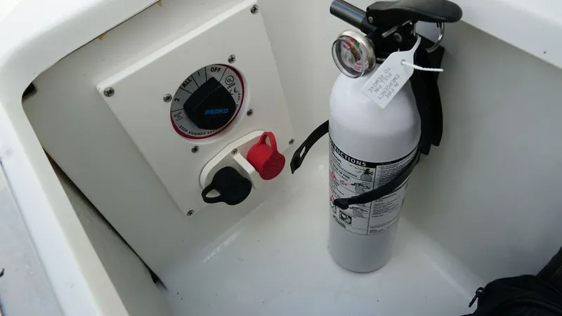 Slide: The Image of Cobalt 272 2005 - 31