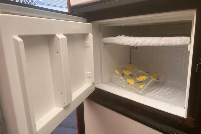 Slide: The Image of Open freezer with frosted shelf and lemon-patterned bag inside. - 39