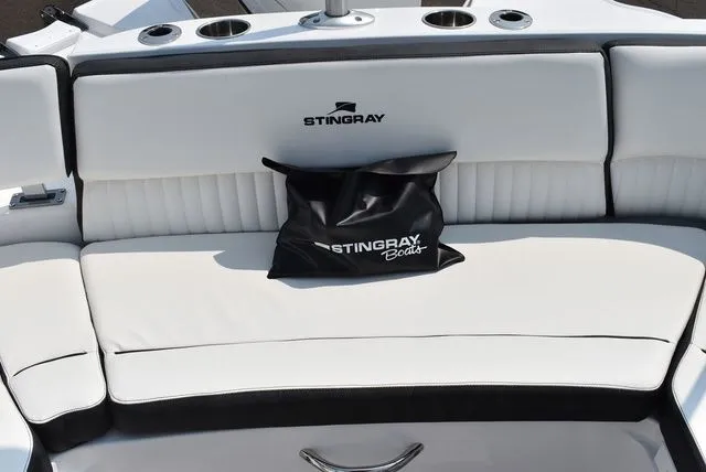 Slide: The Image of Stingray 211DC 2025 - 63