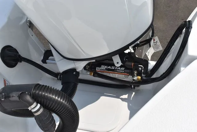 Slide: The Image of Stingray 211DC 2025 - 64