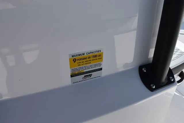 Slide: The Image of Blackfin 222 CC 2025 - 21