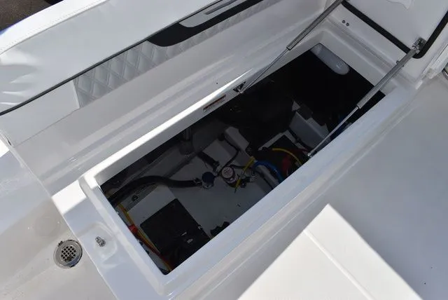 Slide: The Image of Blackfin 222 CC 2025 - 23