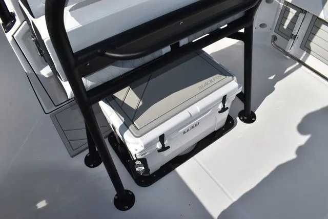 Slide: The Image of Blackfin 222 CC 2025 - 27