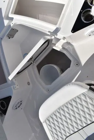 Slide: The Image of Blackfin 222 CC 2025 - 31