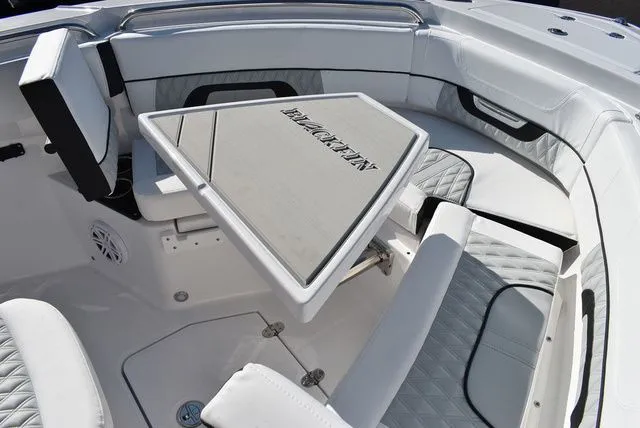 Slide: The Image of Blackfin 222 CC 2025 - 41