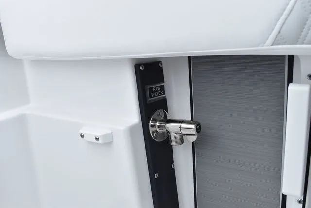 Slide: The Image of Blackfin 222 CC 2024 - 26