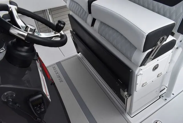 Slide: The Image of Blackfin 272CC 2024 - 61