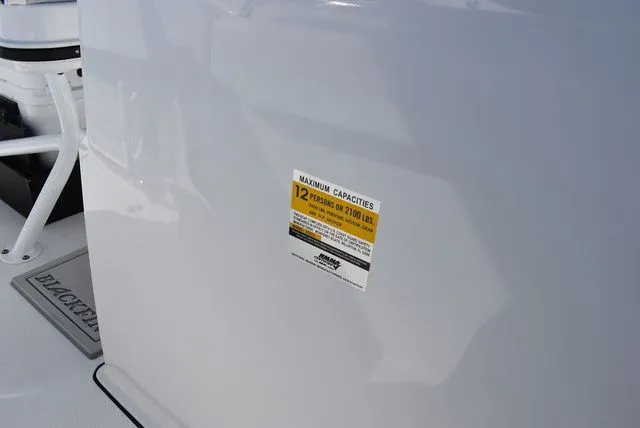 Slide: The Image of Blackfin 252 CC 2025 - 53