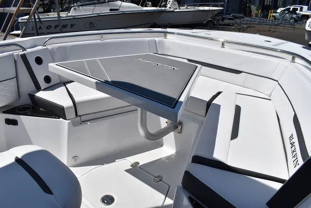 Slide: The Image of Blackfin 252 CC 2023 - 53