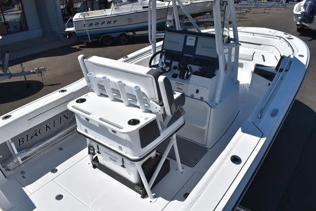 Slide: The Image of Blackfin 252 CC 2023 - 9