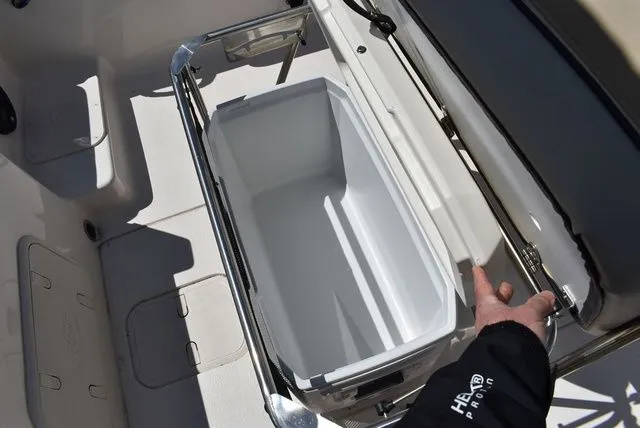 Slide: The Image of Carolina 17 LS 2022 - 20