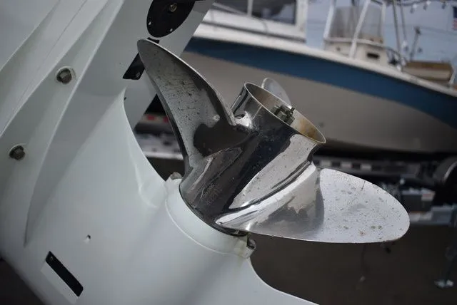 Slide: The Image of Carolina 19 LS 2022 - 43